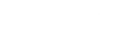 Binario Research
