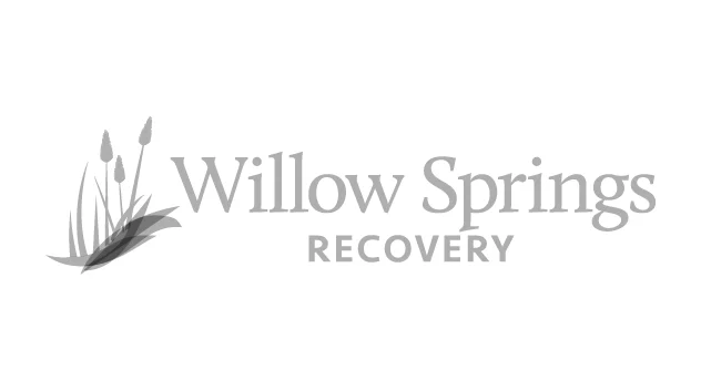 Willow Springs Recovery